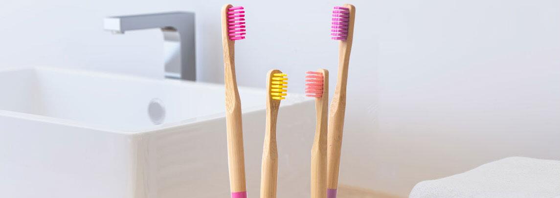bamboo toothbrush price