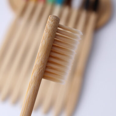 10-Pack Soft Adult Bamboo Toothbrush with Custom Logo Box