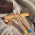 10-Pack Biodegradable Organic Bamboo Toothbrush Set for Adults and Teens