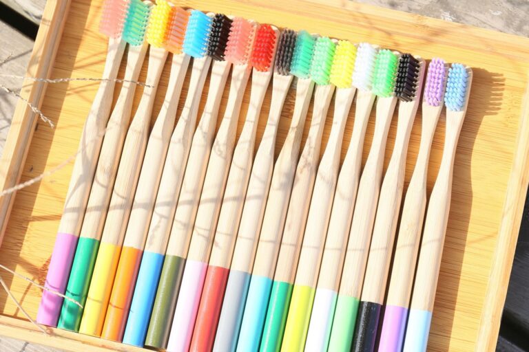 Biodegradable Adult Bamboo Toothbrush with Round Wooden Handle