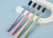 Small Head Adult Toothbrush with Charcoal Fiber and Wheat Straw Handle